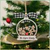 You Stole My Heart, Personalized Light Ornament, Christmas Gift For Couple TT