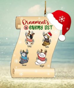 Personalized Naughty Cat Ornament, Enemy List Christmas Ornament, Gifts For Cat Moms, Cat Dads