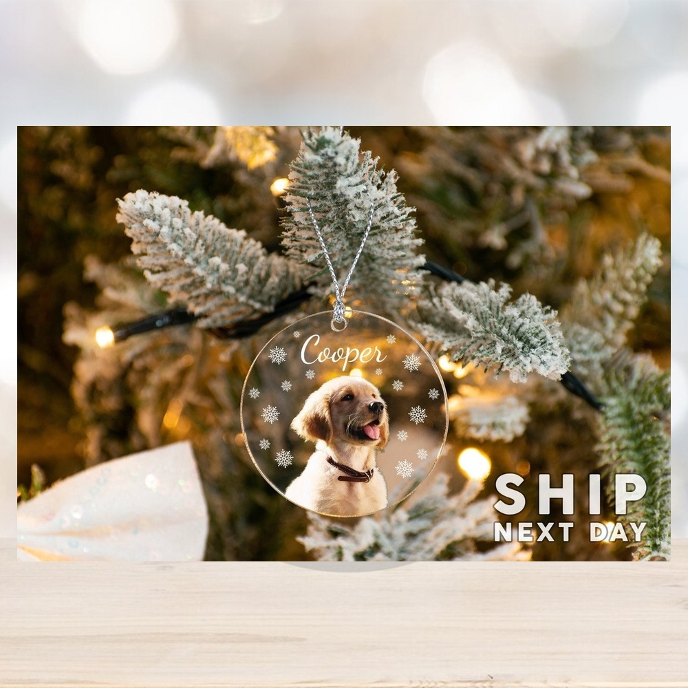 Christmas Gifts for Pet Owners