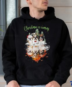 Shih Tzu Holiday Cheer Shirt