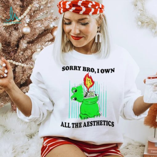 Sorry bro I own all the aesthetics shirt