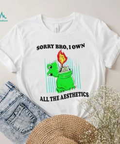 Sorry bro I own all the aesthetics shirt