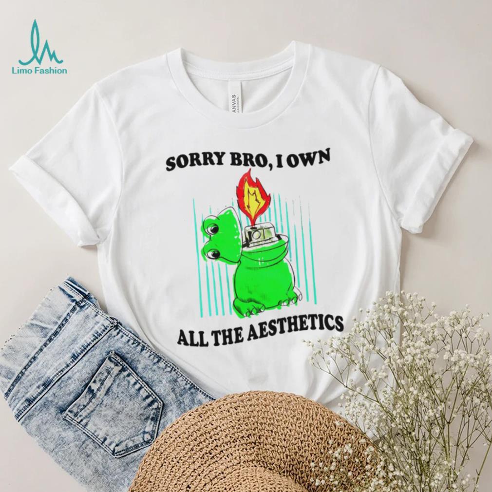 Sorry bro I own all the aesthetics shirt Sorry bro I own all the aesthetics shirt