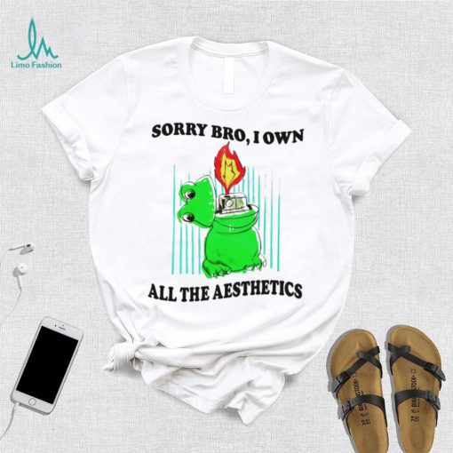 Sorry bro I own all the aesthetics shirt