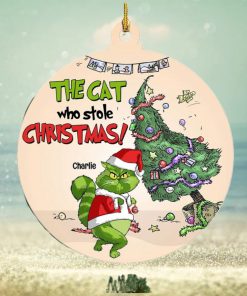 The Cat Who Stole Christmas, Personalized Funny Cat Ornament