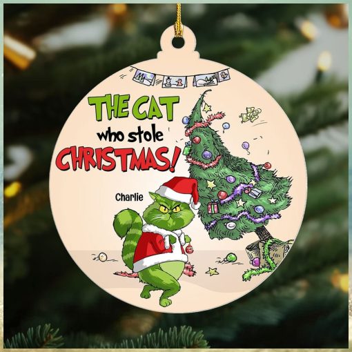 The Cat Who Stole Christmas, Personalized Naughty Cat Ornament, Gift For Christmas