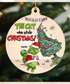 The Cat Who Stole Christmas, Personalized Naughty Cat Ornament, Gift For Christmas