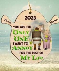 You Are The Only One Personalized Wood Ornament, Gifts For Couple