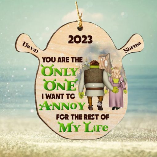 You Are The Only One Personalized Wood Ornament, Gifts For Couple