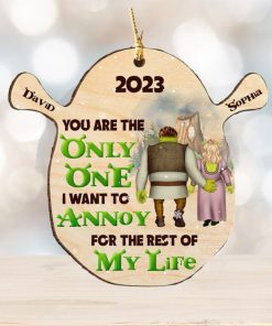 You Are The Only One Personalized Wood Ornament, Gifts For Couple