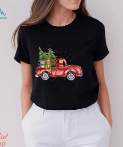 Cat truck xmas Shirt