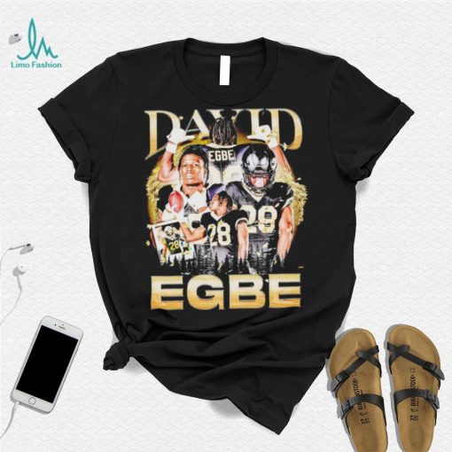 David Egbe Wake Forest Demon Deacons football graphic poster shirt