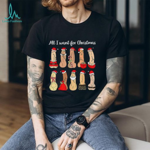 Funny Christmas T shirt Gift For Adult