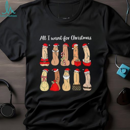 Funny Christmas T shirt Gift For Adult