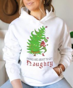 Funny Grinch Things Are About to Get Naughty T Shirt