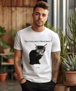 How Long Have I Been Here Kitten Cat Funny Shirt