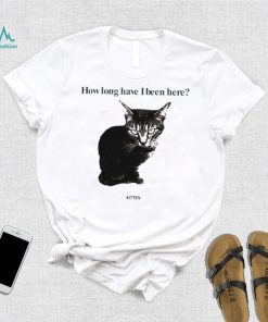 How Long Have I Been Here Kitten Cat Funny Shirt