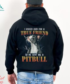 Pitbull I asked god2 Classic T Shirt, hoodie, sweater, long sleeve and tank top Pitbull I asked god2 Classic T Shirt