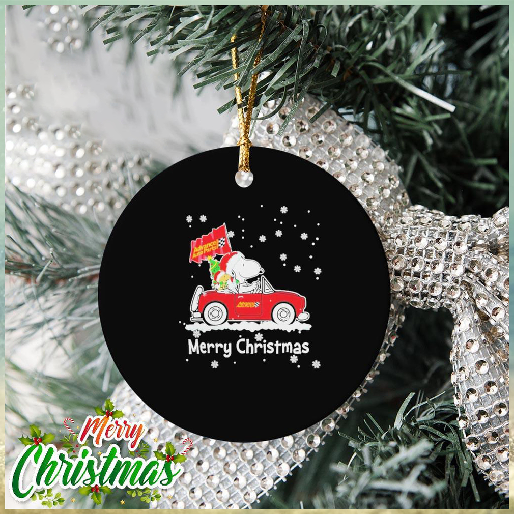 Snoopy And Woodstock Driving Car Advance Auto Parts Winter Christmas Ornament Snoopy And Woodstock Driving Car Advance Auto Parts Winter Christmas Ornament