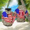 Tennessee Titans NFL US Flag Team 3D Printed Hoodie