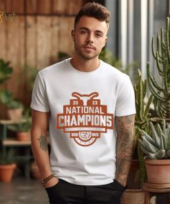 Texas Longhorns volleyball 2023 national champions logo shirt