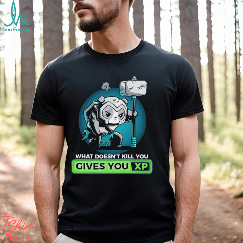 What Doesn’t Kill You Gives You Xp T shirt What Doesn’t Kill You Gives You Xp T shirt