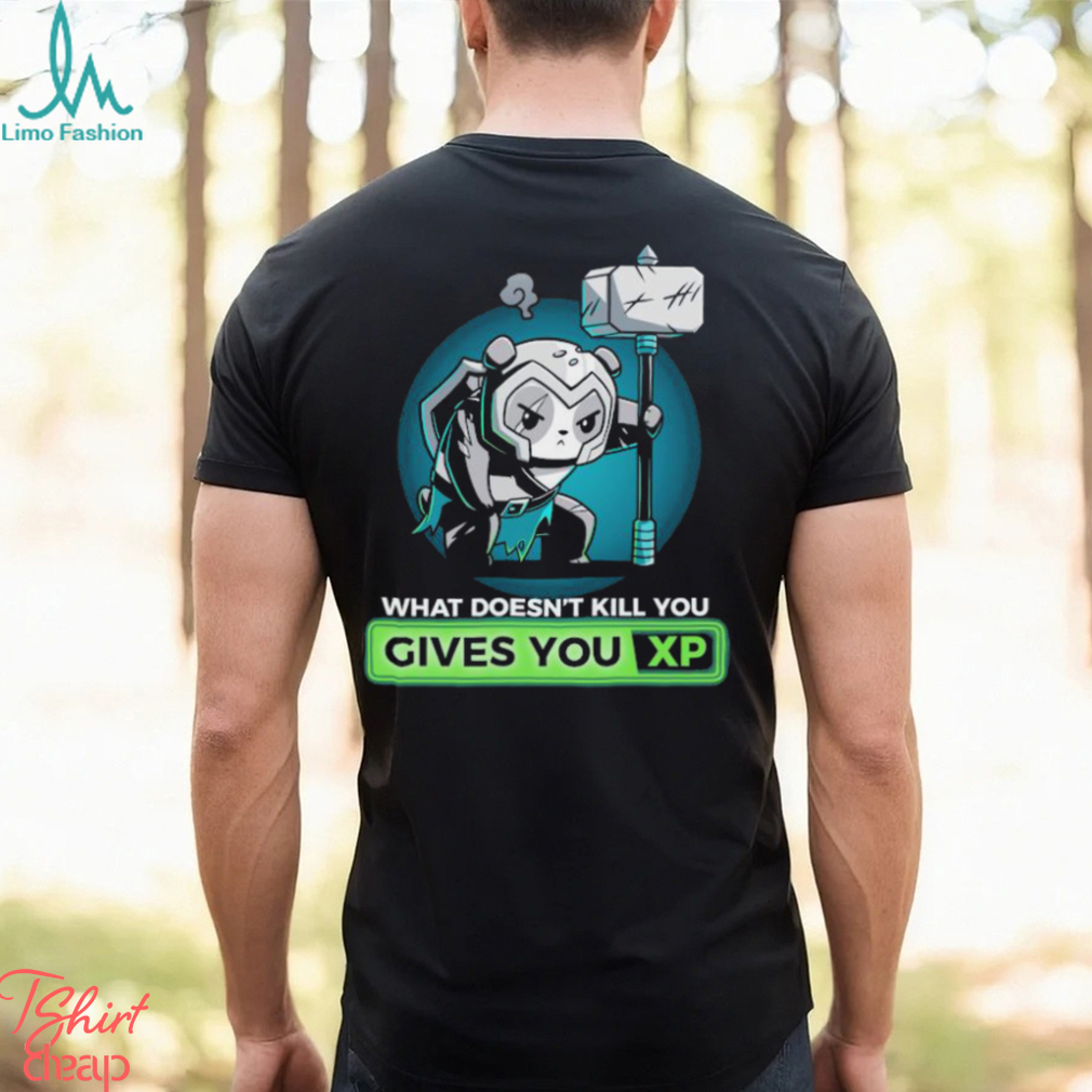 What Doesn’t Kill You Gives You Xp T shirt What Doesn’t Kill You Gives You Xp T shirt