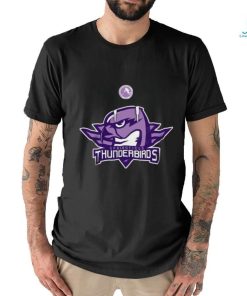 AHL Springfield Thunderbirds Black Hockey Fights 2024 T Shirt
