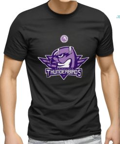AHL Springfield Thunderbirds Black Hockey Fights 2024 T Shirt