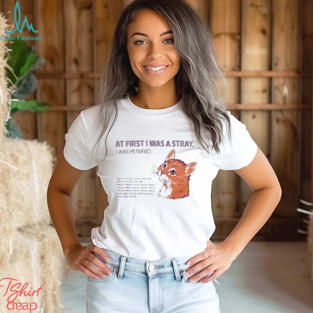 At First I Was A Stray Cat t shirt At First I Was A Stray Cat t shirt