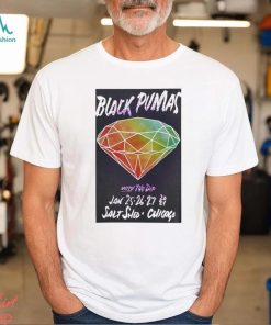 Black Pumas Tour 2024 The Salt Shed Poster t shirt