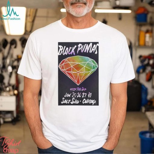 Black Pumas Tour 2024 The Salt Shed Poster t shirt