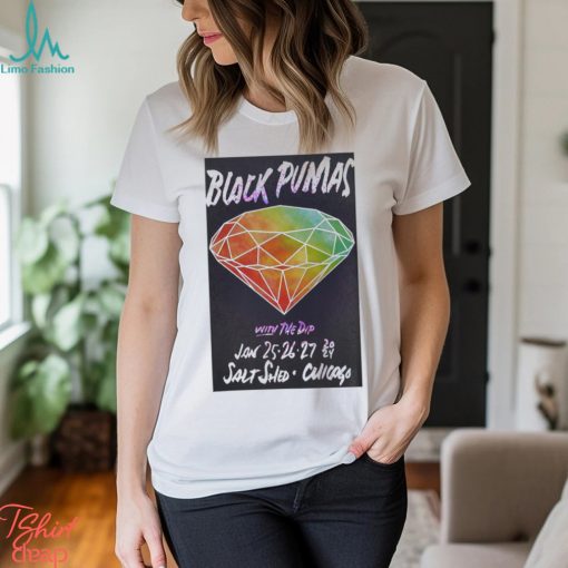 Black Pumas Tour 2024 The Salt Shed Poster t shirt