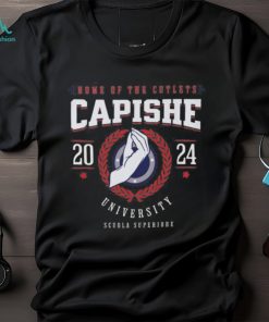 Capishe University Cutlets T shirt, Giants Fan Tee, Tommy DeVito Unisex Gildan T shirt Comfort Colors T Shirt