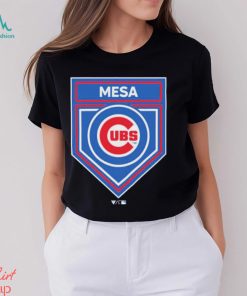 Chicago Cubs 2024 Spring Training Logo Shirt