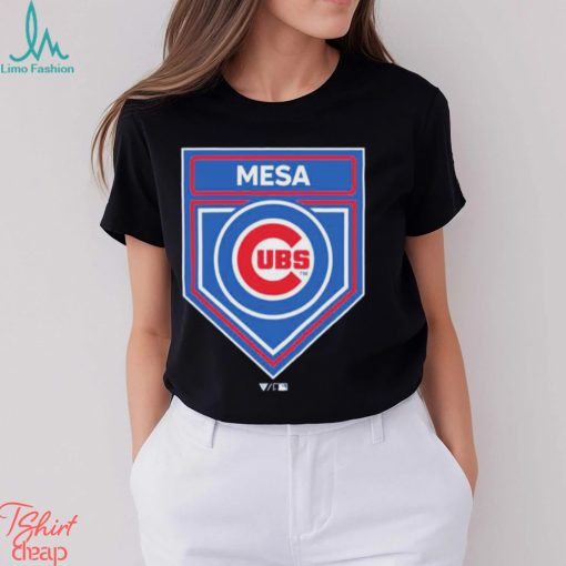 Chicago Cubs 2024 Spring Training Logo Shirt