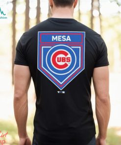 Chicago Cubs 2024 Spring Training Logo Shirt