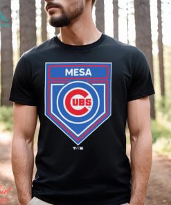 Chicago Cubs 2024 Spring Training Logo Shirt