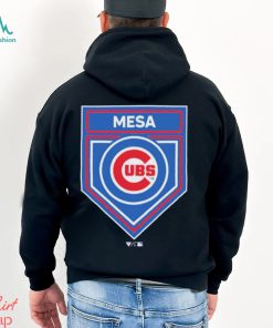 Cubs spring 2025 training hoodie