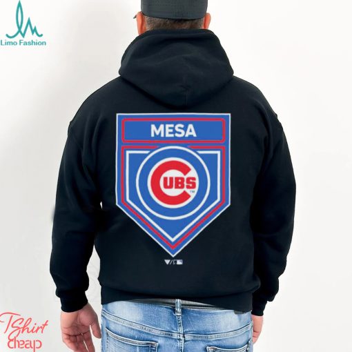 Chicago Cubs 2024 Spring Training Logo Shirt