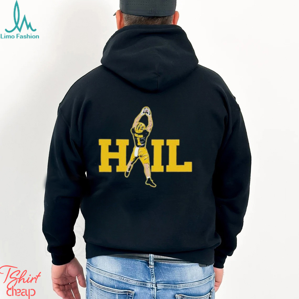 Dave portnoy hail T shirt Dave portnoy hail T shirt