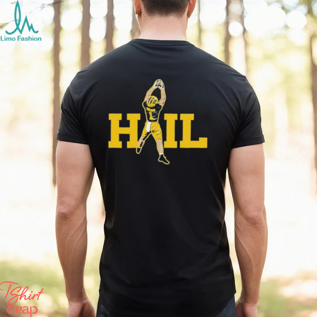 Dave portnoy hail T shirt Dave portnoy hail T shirt