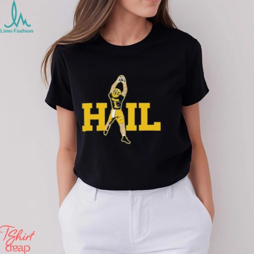 Dave portnoy hail T shirt