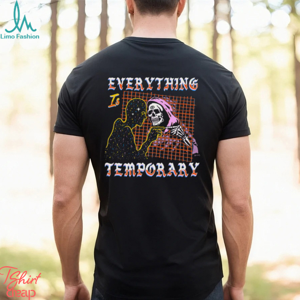 Everything Is Temporary Shirt Everything Is Temporary Shirt