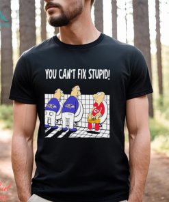 Funny Baltimore Ravens You Cant Fix Stupid Chiefs Football Shirt