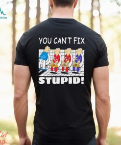 Funny Detroit Lions You Cant Fix Stupid Shirt