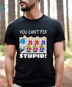 Funny Detroit Lions You Cant Fix Stupid Shirt