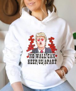 Funny Donald Trump No Wall Can Keep Us Apart shirt