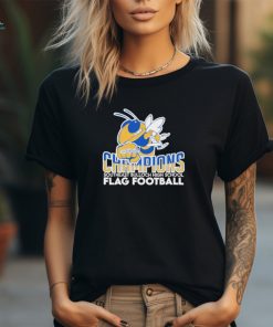 Funny Southeast Bulloch High Flag Football 2024 Champions shirt