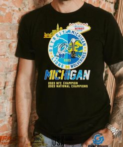Welcome to Fabulous Detroit Lions Michigan Wolverines 2023 shirt
